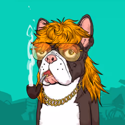 JunkYard Dog #5064