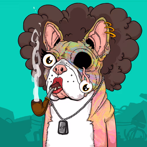 Junkyarddogs