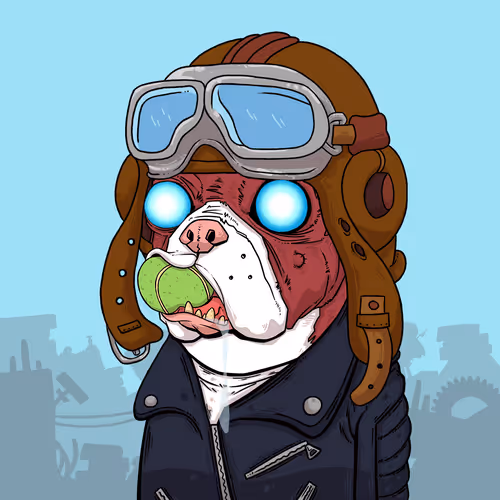 Junkyarddogs