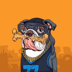 JunkYard Dog #6301