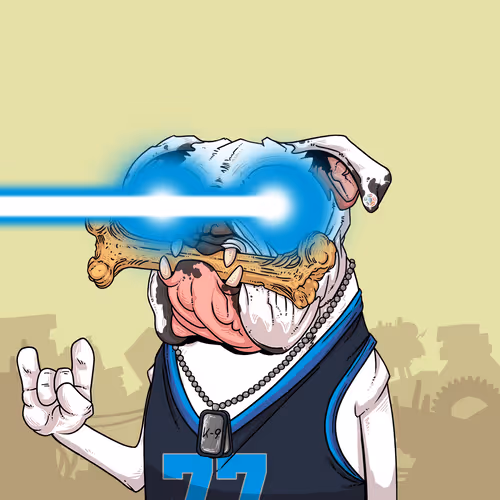 Junkyarddogs