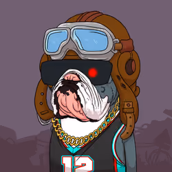 JunkYard Dog #4178