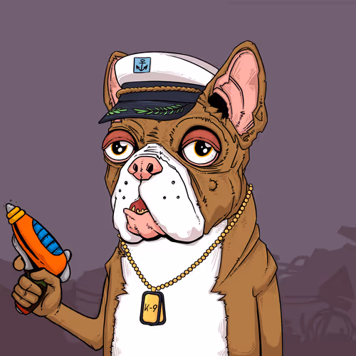 Junkyarddogs