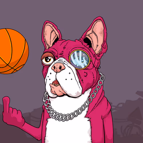 Junkyarddogs
