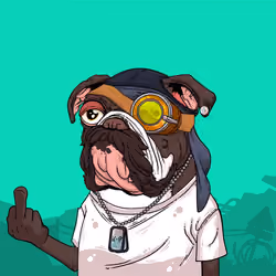 JunkYard Dog #3979