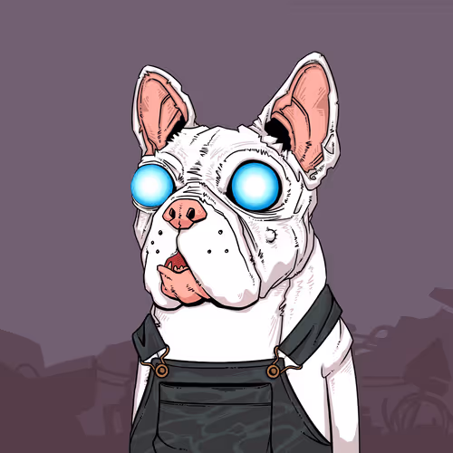 Junkyarddogs