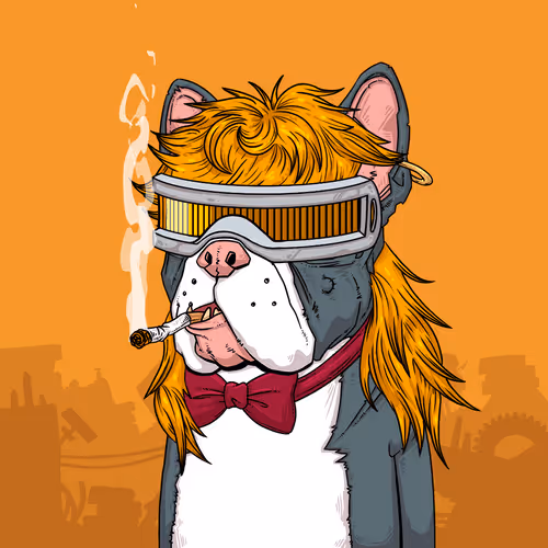 Junkyarddogs