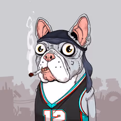 JunkYard Dog #4005