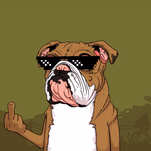 Junkyarddogs