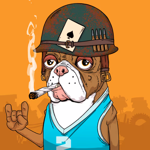 Junkyarddogs