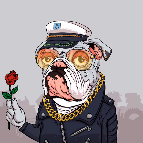 Junkyarddogs