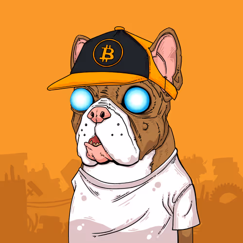 Junkyarddogs