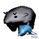 504