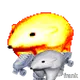 657