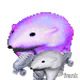 frank