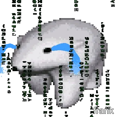 Frankfrank