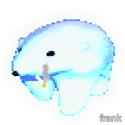 frank