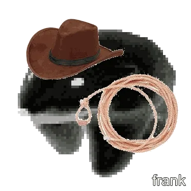 Frankfrank