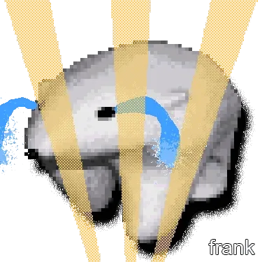 frank