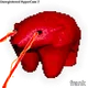 955