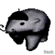 1684