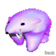 854
