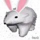 606