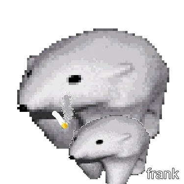 Frankfrank