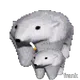 666