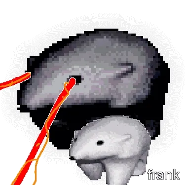 frank