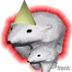 1444