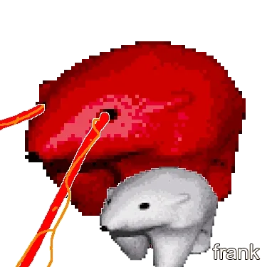 Frankfrank
