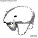 1323