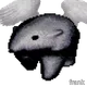 223