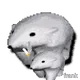 235