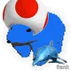 1243