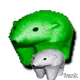 141