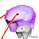 76