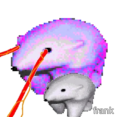 frank