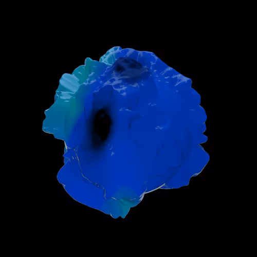 Chromamorphsofficial