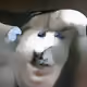 1086
