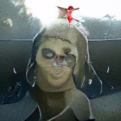 2546