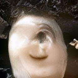 2198