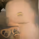 2036