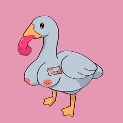 50