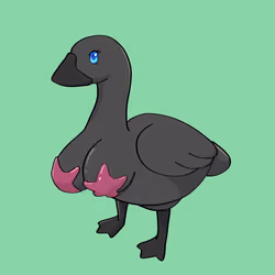 66