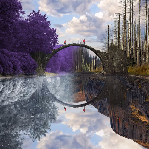 Reflection #207