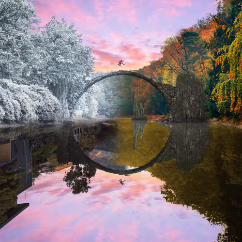 Dreamlab Reflections