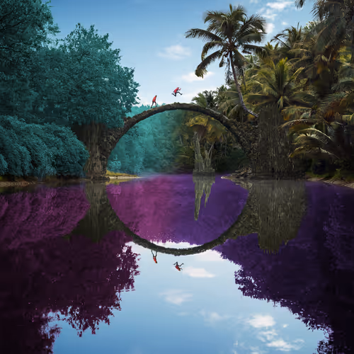 Dreamlab Reflections
