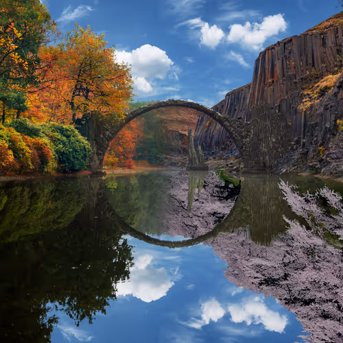 Reflection #371